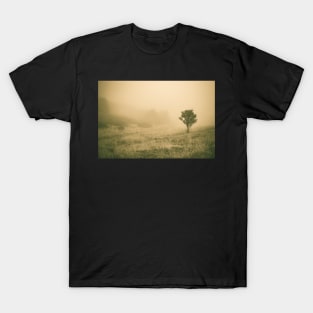 Little Misty Tree T-Shirt